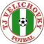TJ Velichovky