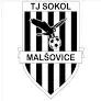 TJ Sokol Malšovice