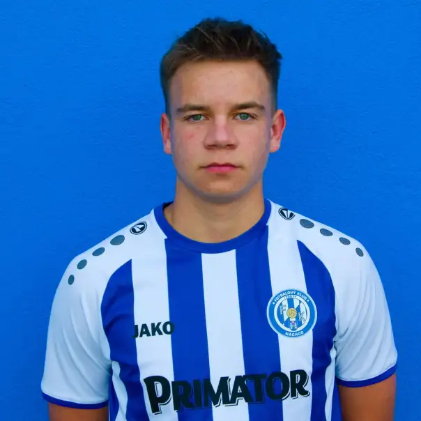Mikolaj Grzegorz Harezlak