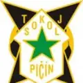 TJ Sokol Pičín