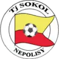 TJ Sokol Nepolisy